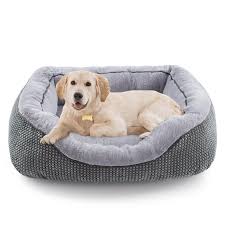 Beds & Blankets